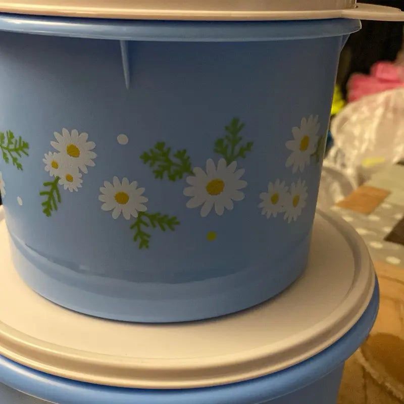 Daisy Fridge Container