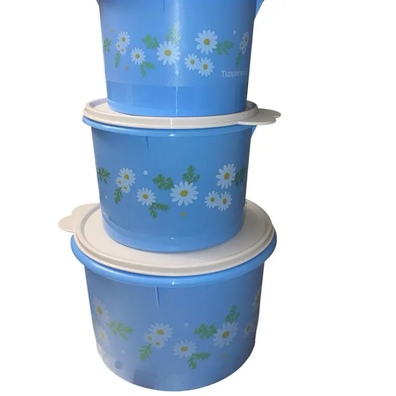 Daisy Fridge Container