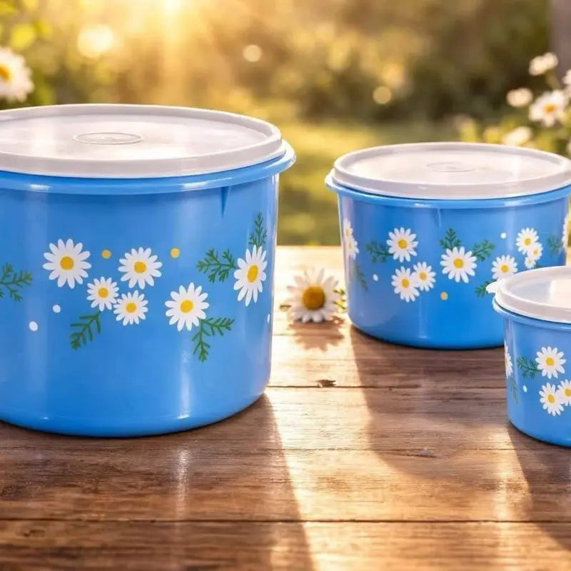 Daisy Fridge Container