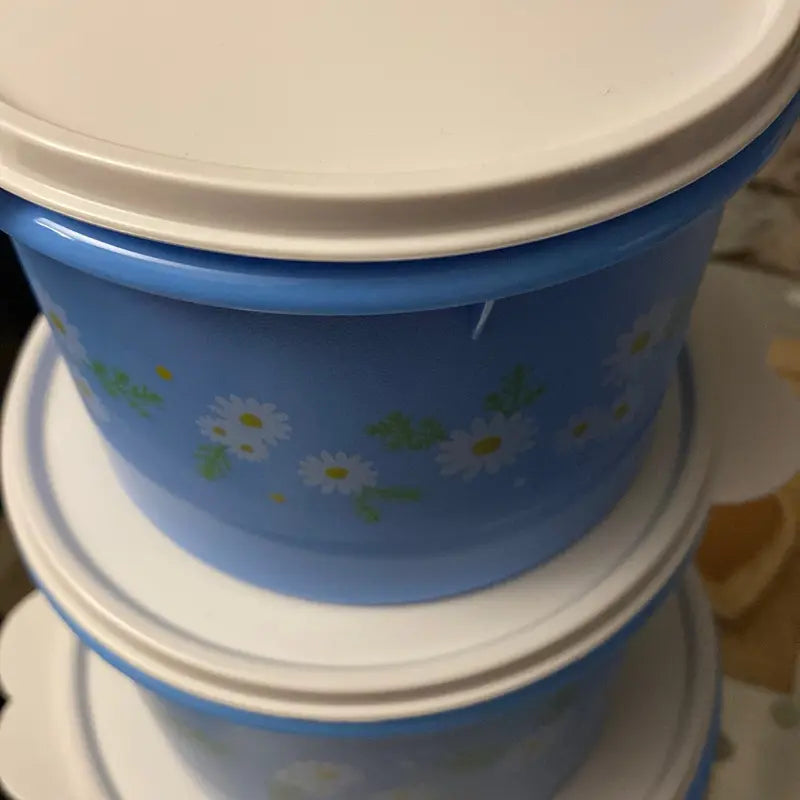 Daisy Fridge Container
