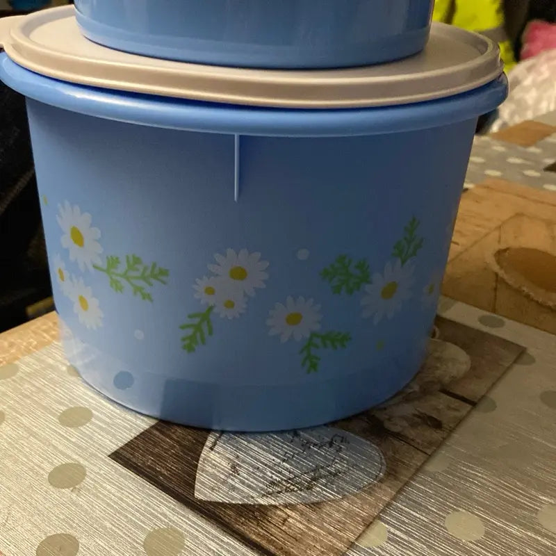 Daisy Fridge Container